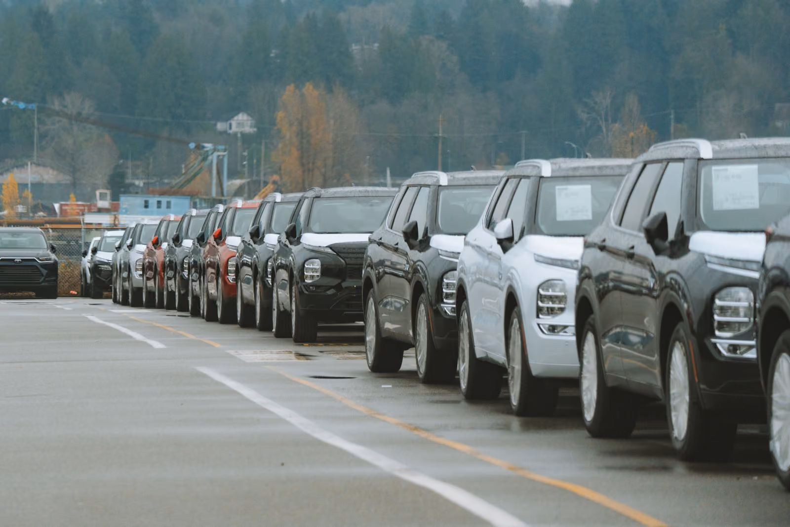 Vehicles staged in numbered rows on a lot before a sale