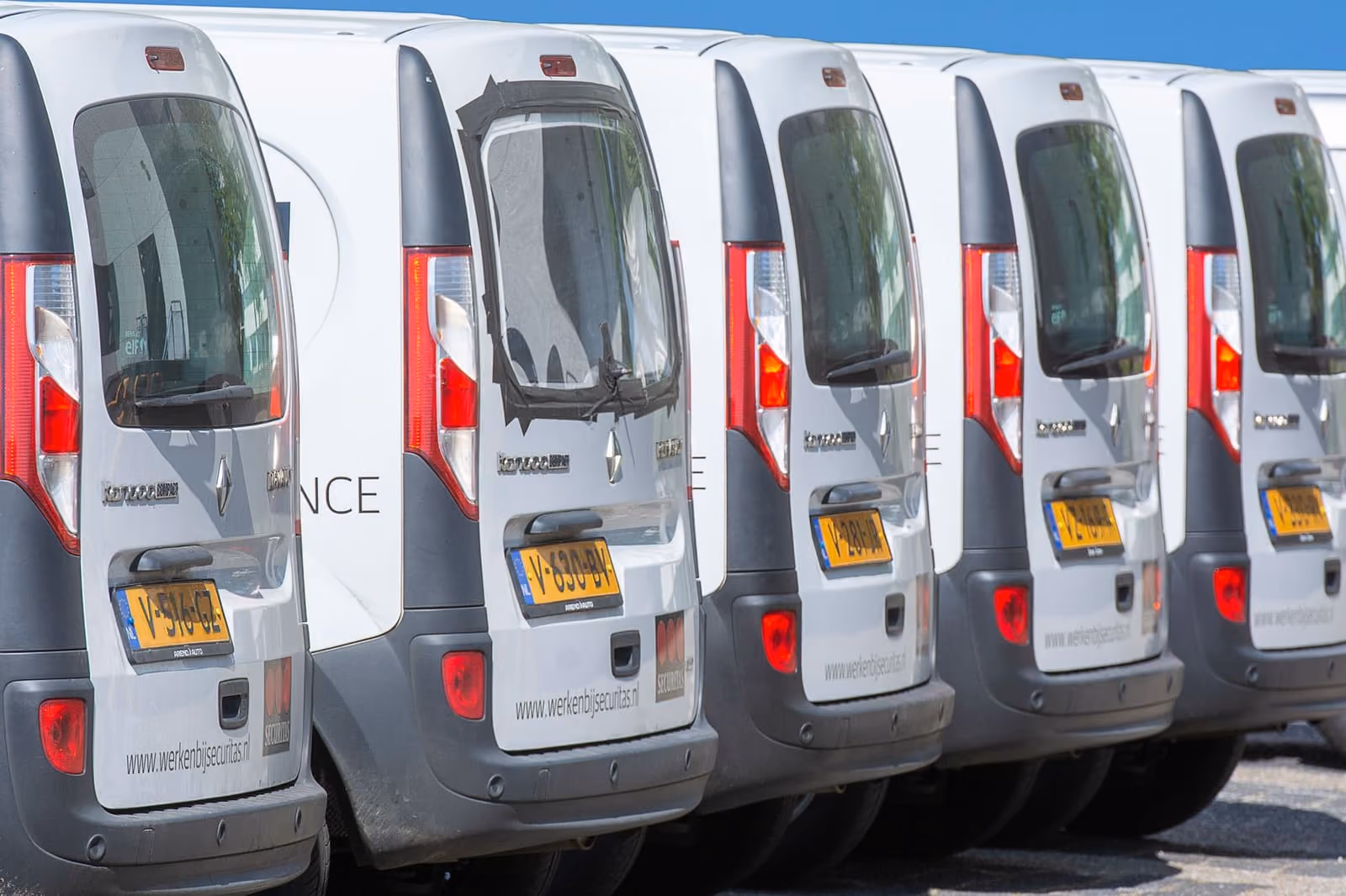 A row of identical white fleet vans parked outdoors